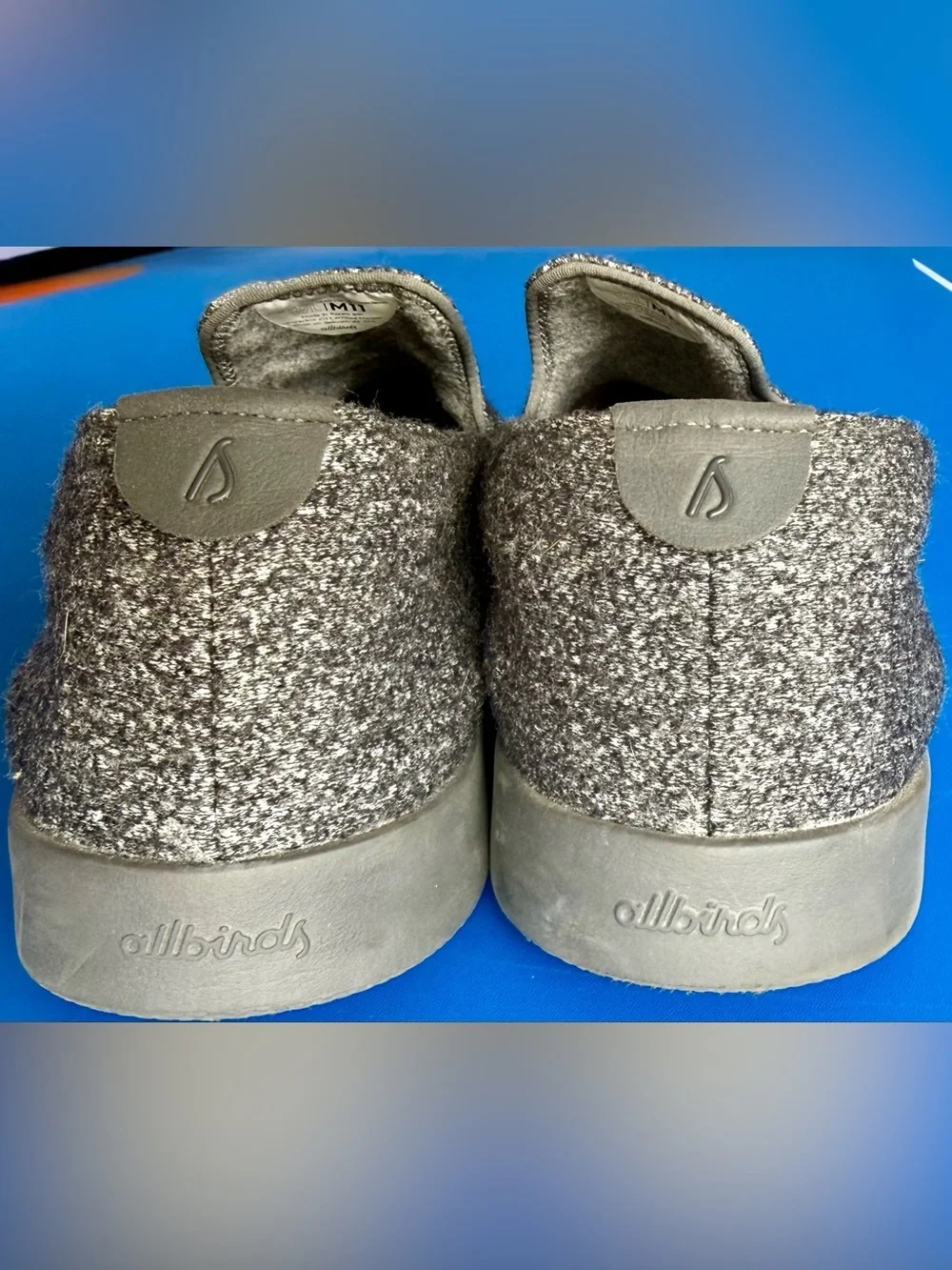 allbirds comfort meets